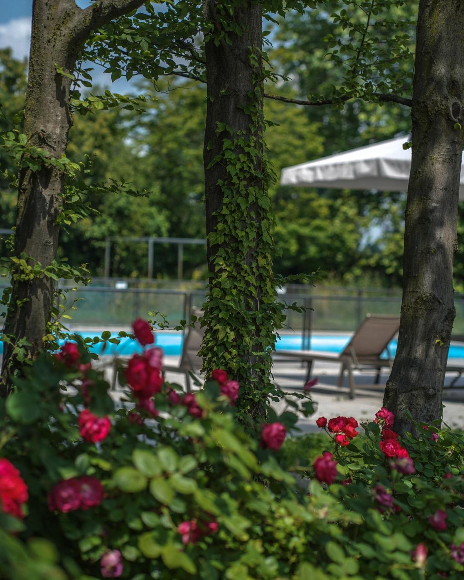 Alle Siepi Reggio Emilia Kültér fotó
